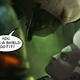 Illustration for article titled Some iLeague Of Legends/i Players Think Riots Overdoing It With Champions